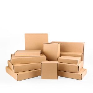 kemasan karton makanan