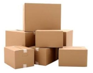 kardus polos terdekat