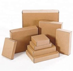 kemasan karton makanan