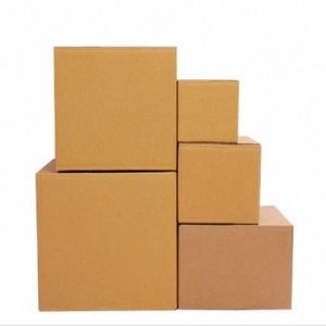 karton kardus